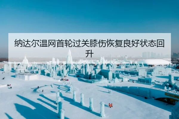 na-da-er-wen-wang-shou-lun-guo-guan-xi-shang-hui-fu-liang-hao-zhuang-tai-hui-sheng-2-233.jpg